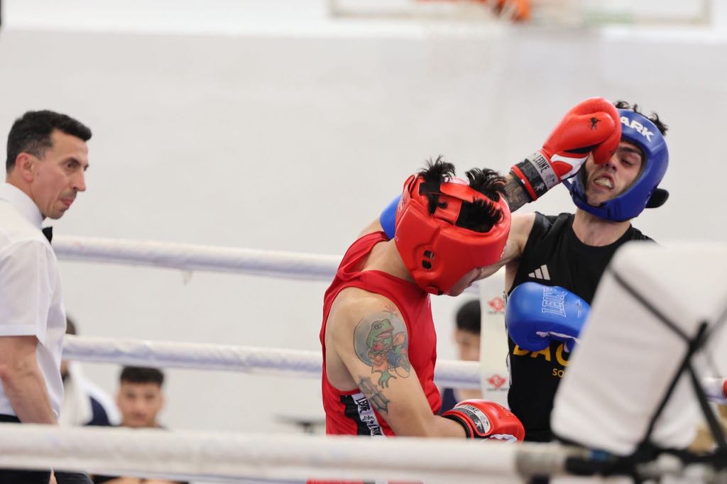 porto box cup 2025 Boxing academy lausanne 8